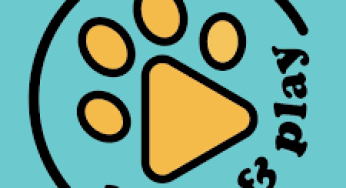 Paws & Play free gift when you register an account deliver to you in Singapore