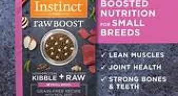 Raw Boost Kibble Singapore free dog or cat food pets owner enjoy free home delivery