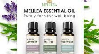 Melilea Essential Oil Malaysia free sample free delivery to home
