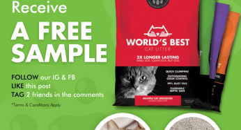 Rein Singapore free cat litter sample made from corn