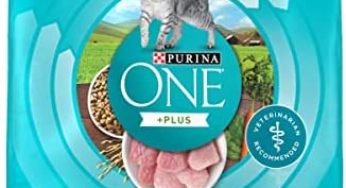 Purina Cat food 200g sample in Singapore free home delivery