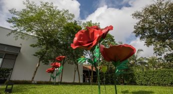 Changi Chapel & Museum Poppies Installation By Pei-Per Flower surprise by huge flower there