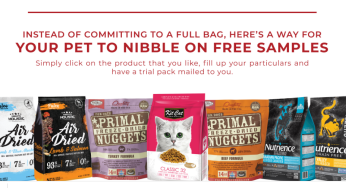 B2K Pet free sample for cat and dog food also pee pad for dog