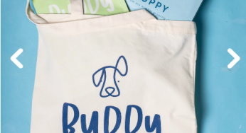 Buddy Bites free 500g dog food sample in Singapore pay for shipping only