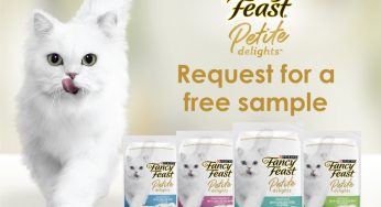 Purina free cat food sample 50g free home delivery