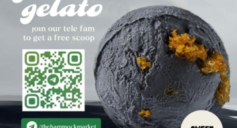 The Hammock Market x Sweet Cheeks free gelato when you follow telegram
