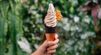 Lamer free ice cream from Sunday Folks 1 to 6pm till 18 April Orchard Paragon pop up